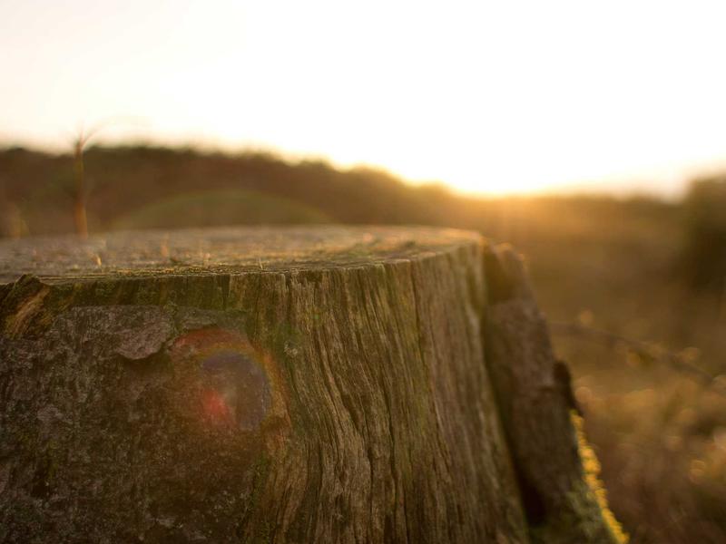 sudoku skill level screenshot 4