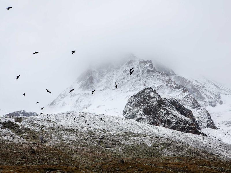 sudoku no solution screenshot 3